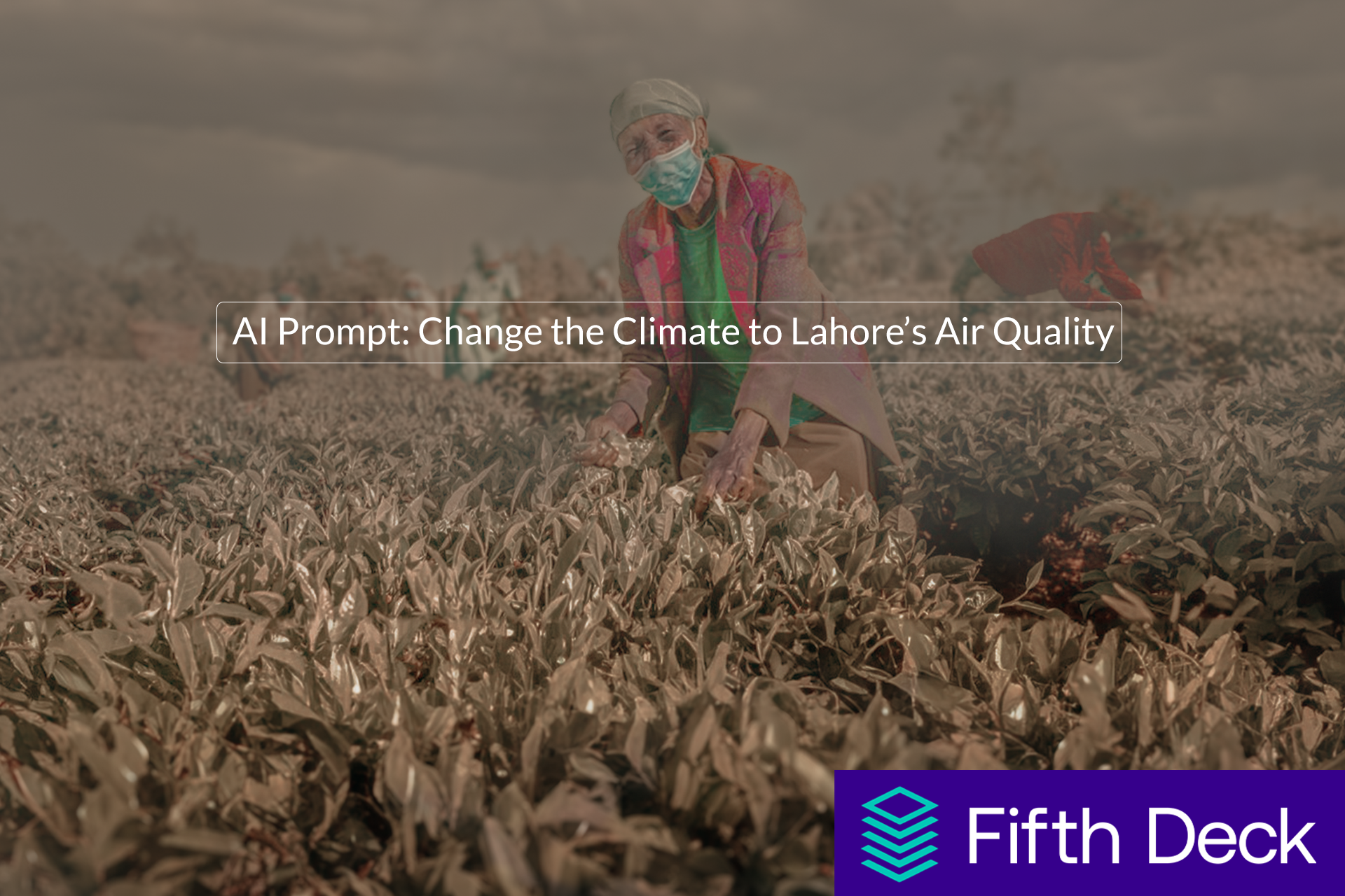 COP28(4)